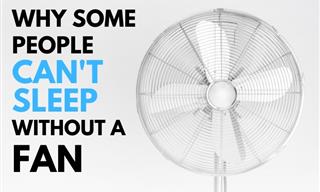 The Scientific Reason Why Some Can’t Sleep Without a Fan