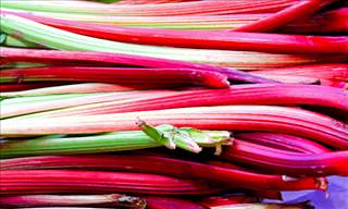 The Top 10 Health Benefits of Eating Rhubarb