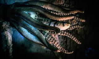 Monsters of the Deep, Dark Ocean