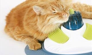 Clever Cat Products to Treat Your Beloved Kitty