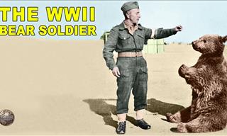 Wojtek: Poland’s Bear Soldier Who Fought Hitler's Nazis
