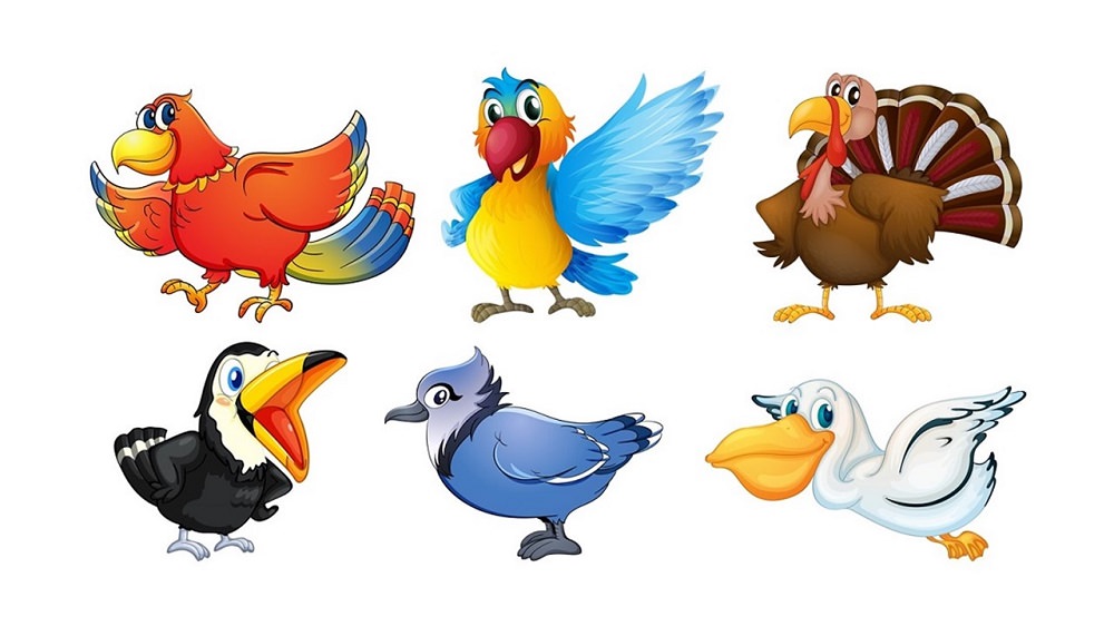 personality-test-what-bird-are-you