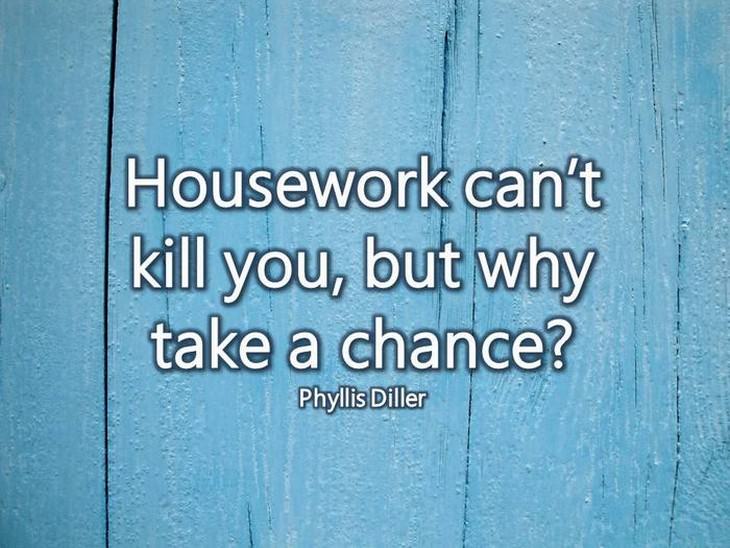 house cleaning quotes funny