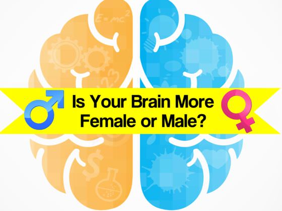 Take Our Test: Is Your Brain More Male Or Female? | Riddles & Quizzes ...