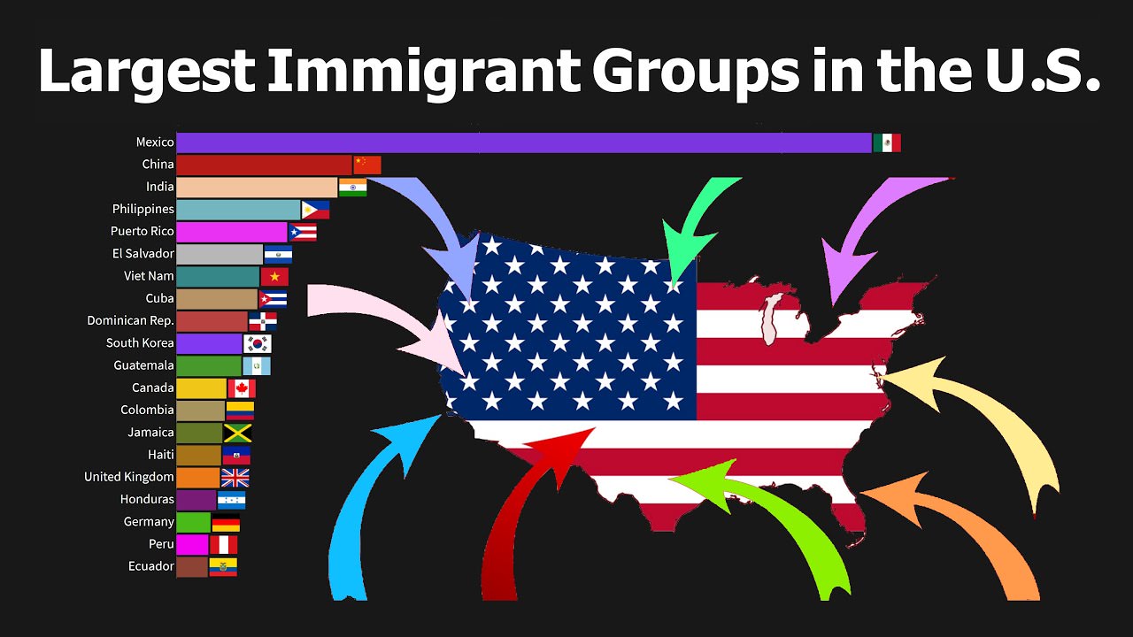 create a visual presentation showing immigration trends