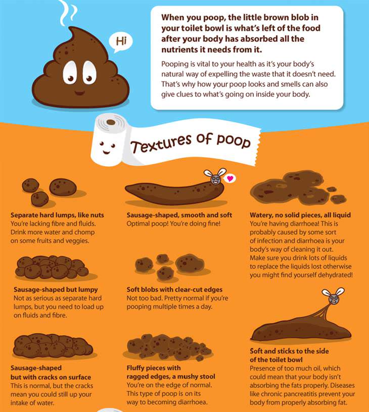 This is What Your Poop Can Tell You About Your Health!