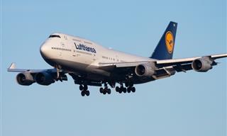 The Lufthansa Flight