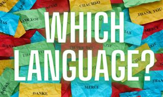<b>Can</b> <b>You</b> <b>Identify</b> the Language From a Lone Sentence?