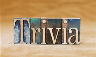 Are You Ready to Pursue That <b>Trivia</b>?!?