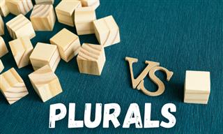 Can You Tell Us the Plural?