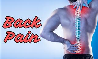 Back Problems and Back Pain