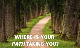 What Path Does Your Life Take? Answer Our <b>Quiz</b>!