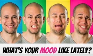 Which Expression Do You Wear Lately?