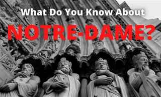 What Do You Know About Notre-Dame?