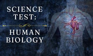 <b>How</b> Good Is Your Human Biology Knowledge?