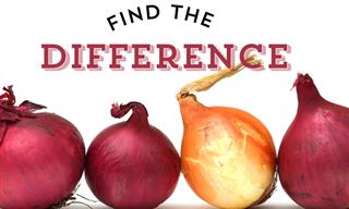 Find The <b>Differences</b>: Think You Can <b>Spot</b> Them All?