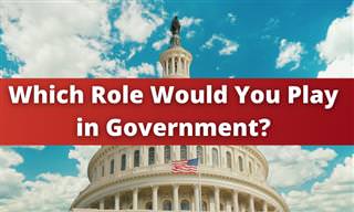 <b>Which</b> Role Would <b>You</b> Play in Government?