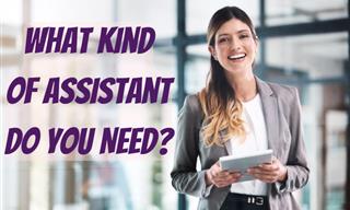 What Kind of Assistant Do You Need?