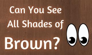 Can You See in All Shades of BROWN?