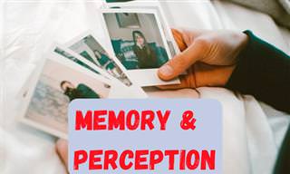 <b>Memory</b> and Perception Go Hand in Hand...