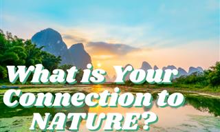 What is Your Connection to Nature?