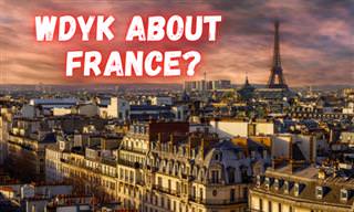 Can You Answer These Trivia Questions about France?