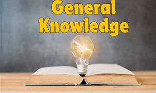 General <b>Knowledge</b> Epic Quiz