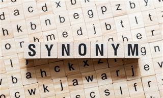 Find the Correct Synonym!