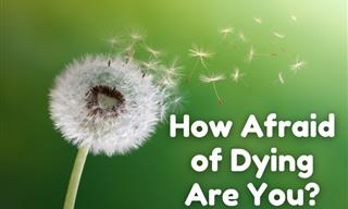 How Afraid Are You of Dying?