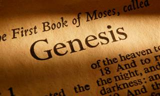 Do You Know the Book of Genesis?
