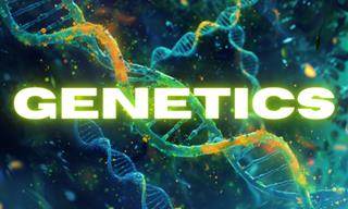 What Do You Know About Genetics?