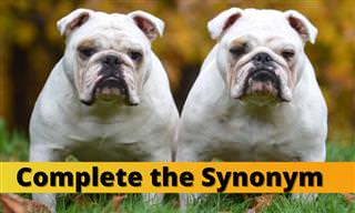 Complete the Synonym (Part III)