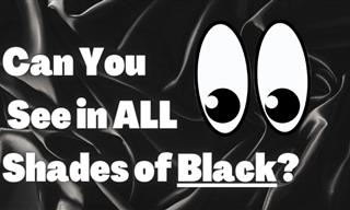 Can You See in Shades of Black? (II)