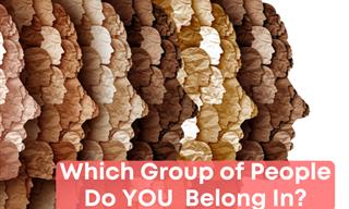 Which Personality Group Do You Belong In?