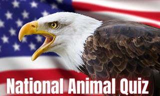What's the National Animal?