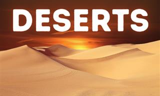 What Do You Know About Deserts?