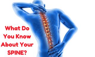What Do You Know About Your Spine?