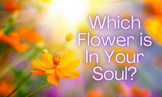 What is Your Soul's Flower?