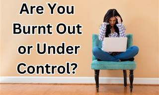 Are You Burnt-Out, Stressed or is All Under Control?