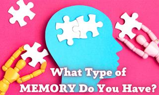 What's Your Memory Type?