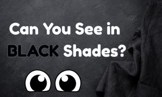 Can You See in Shades of Black?