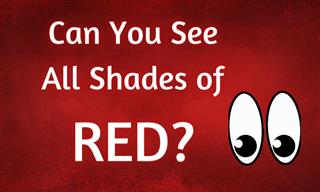 Can <b>You</b> See Shades of RED?