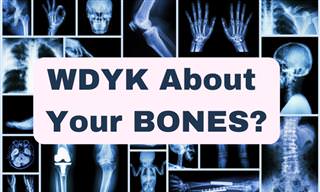 WDYK About the Your Bones?