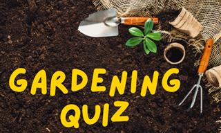 The Gardening <b>Quiz</b>