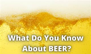 What Do You Know About BEER?