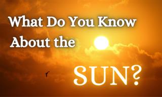 What Do You Know About the Sun?