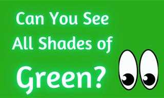 Can You See All Shades of GREEN?