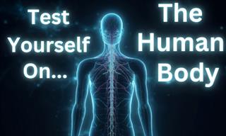 What Do <b>You</b> Know of the Human Body?