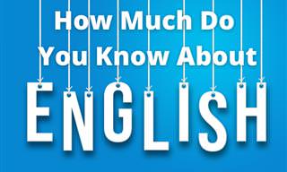 What Do You Know of the <b>Language</b> of English?