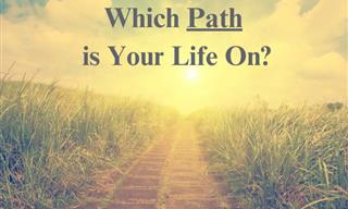 What Kind of Path is Your Life On?